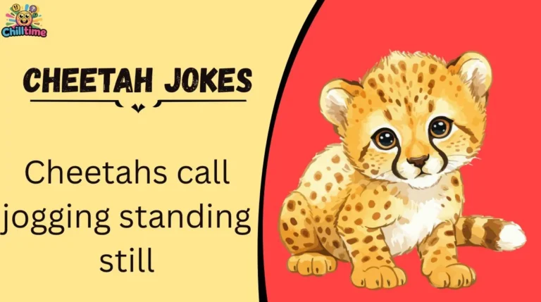 Cheetah Jokes