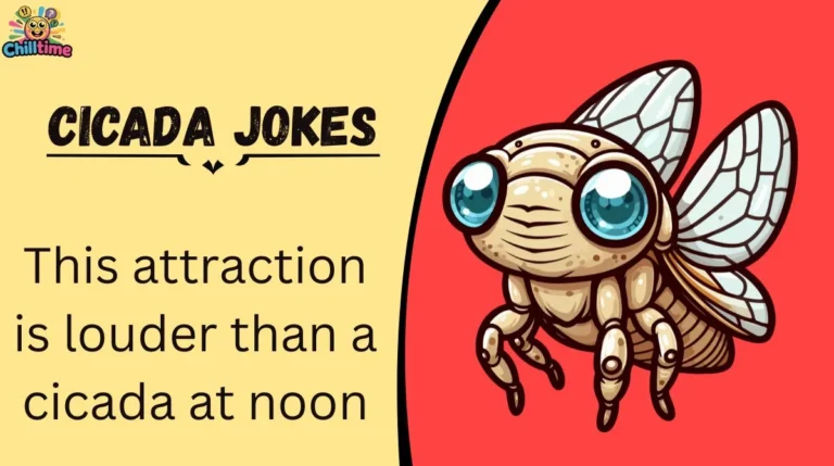 Cicada Jokes