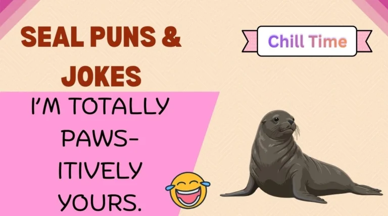 Seal Puns & Jokes