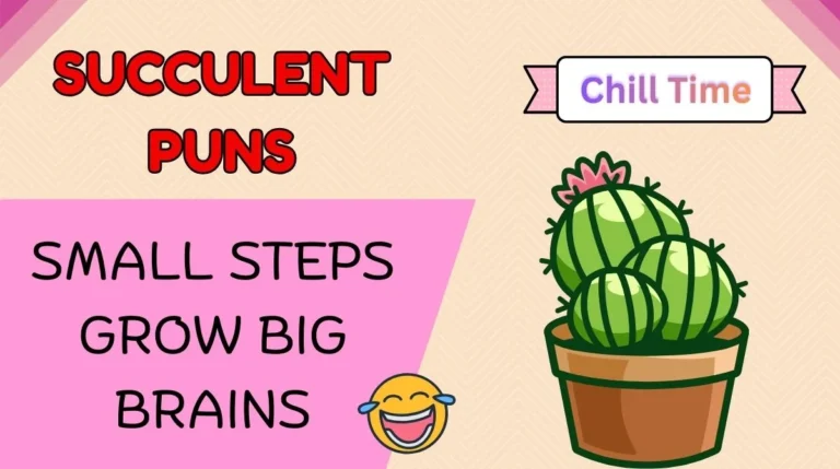 Succulent Puns