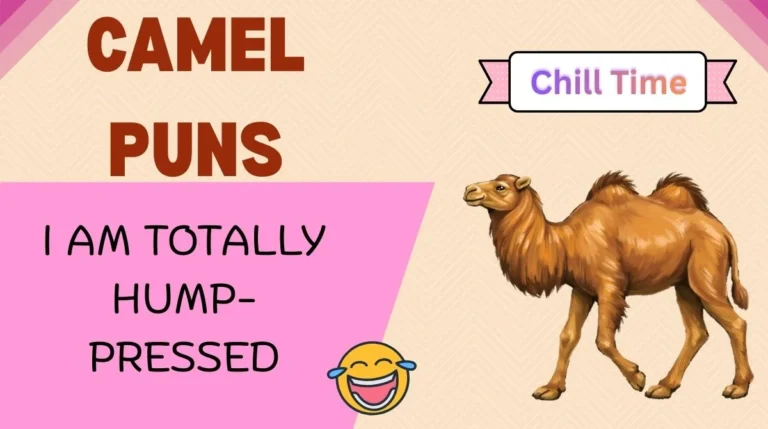 Camel Puns