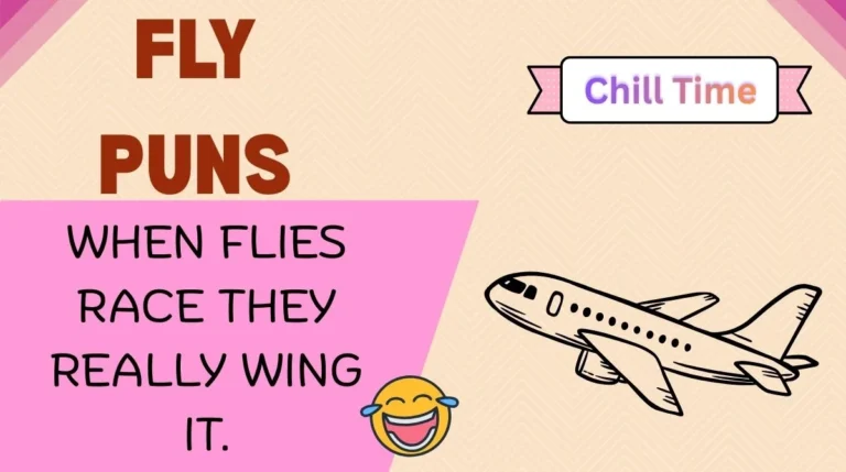 Fly Puns